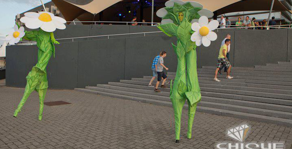 madeliefjes-bloemen-steltenlopers-thesfactory