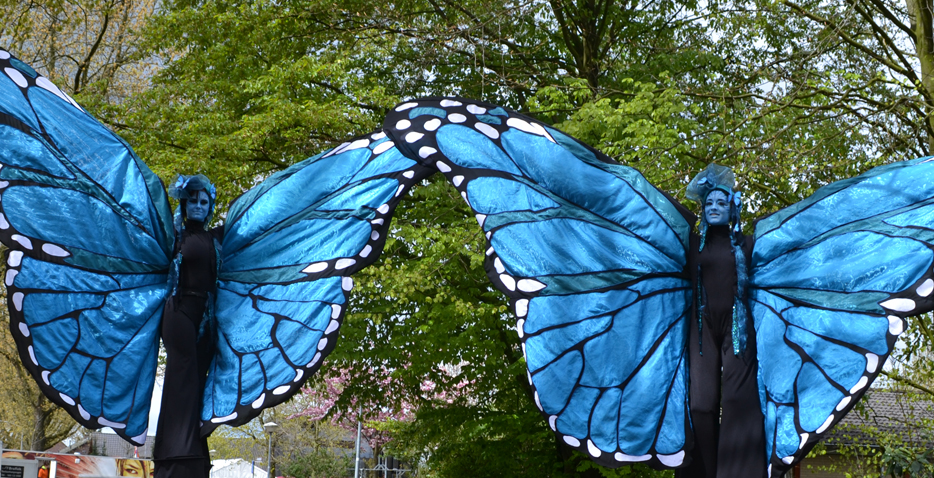 vlinde-vlinders-blauwe-steltenlopers-thesfactory